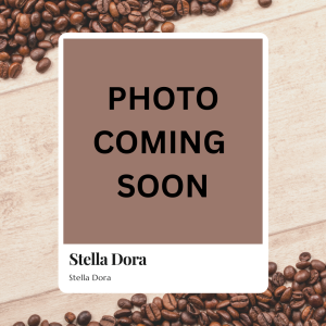 - Stella Dora